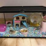 Blue Wooden Hamster Hideout with Climbing Slide