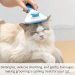 Self-Cleaning Slicker Brush for Cats and Dogs
