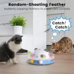 4-in-1 Interactive Cat Toy with Feathers and Catnip