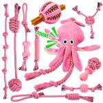 10 Pack Durable Puppy Teething Toys for Small Dogs