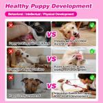 10 Pack Durable Puppy Teething Toys for Small Dogs