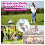 10 Pack Durable Puppy Teething Toys for Small Dogs