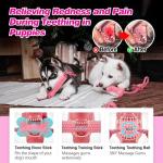 10 Pack Durable Puppy Teething Toys for Small Dogs