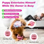 10 Pack Durable Puppy Teething Toys for Small Dogs