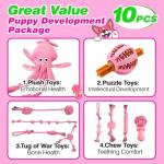 10 Pack Durable Puppy Teething Toys for Small Dogs