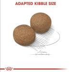 Royal Canin 15kg Maxi Adult Dog Food