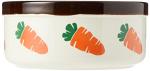 Carrot Design Stoneware Pet Bowl for Small Animals