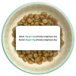 Burns Hypoallergenic Dry Dog Food for Small Breeds