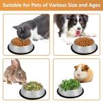 4 Pack Stainless Steel Non-Slip Pet Bowls