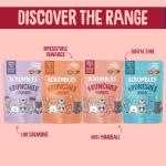 Scrumbles Anti-Hairball Cat Treats 60g