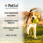 PetSol Dental Care Kit for Dogs and Cats