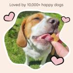 Scooch Joint & Mobility Chews for Dogs