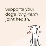 Scooch Joint & Mobility Chews for Dogs