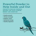 Missing Link Avian Color & Shine Superfood Powder