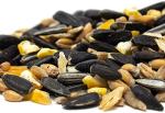 Wild Bird Seed Mix with Aniseed - Nutritious Blend