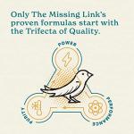 Missing Link Avian Color & Shine Superfood Powder