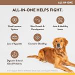 NaturVet All-in-One Dog Supplement Soft Chews