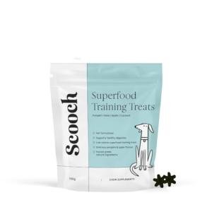 Healthy Dog Training Treats - Pumpkin & Apple Flavor