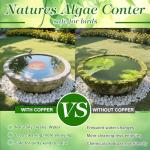 Copper Bird Bath Disk for Fresh Water
