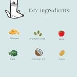 Healthy Dog Training Treats - Pumpkin & Apple Flavor