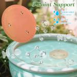 Copper Bird Bath Disk for Fresh Water