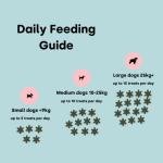 Healthy Dog Training Treats - Pumpkin & Apple Flavor