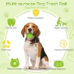 Interactive Dog Puzzle Toys 2 Pack for Fun