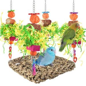 Cockatiel & Budgie Swing Toy for Birds