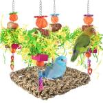 Cockatiel & Budgie Swing Toy for Birds