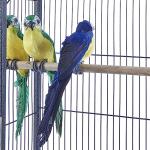 Spacious Metal Parrot Cage with Rolling Stand