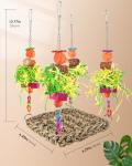 Cockatiel & Budgie Swing Toy for Birds