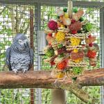 Colorful Hanging Bird Toy for Large Parrots