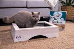 Sanicat Active Gold Argan Scented Cat Litter