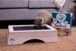 Sanicat Active Gold Argan Scented Cat Litter