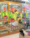 Cockatiel & Budgie Swing Toy for Birds