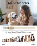 Remote Dog Training Collar with LED Light