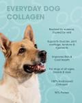 Collagen Joint Supplement for Dogs - 150g Powder