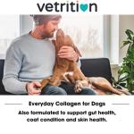 Collagen Joint Supplement for Dogs - 150g Powder