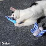 Rosewood Butterfly and Dragonfly Catnip Toy Set