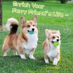 Interactive Dog Puzzle Toys 2 Pack for Fun