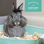 Oxbow Pure Comfort Bedding for Small Animals