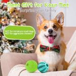 Interactive Dog Puzzle Toys 2 Pack for Fun