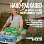 Premium Timothy Hay for Small Pets, 12 LB