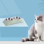 Non-Slip Stainless Steel Double Dog Bowl with Spoon