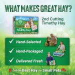 Premium Timothy Hay for Small Pets, 12 LB