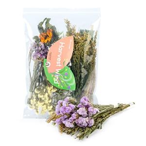 Niteangel Natural Soft Hamster Bedding Flowers