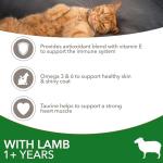 IAMS Dry Cat Food with Lamb 3kg