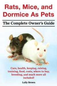 Rats and Mice as Pets: Your Complete Guide