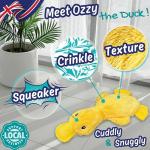 PeppyPawz No Stuffing Plush Squeaky Duck Toy