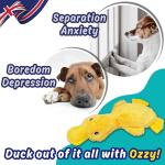PeppyPawz No Stuffing Plush Squeaky Duck Toy